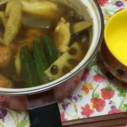 素を使わずカレー鍋が出来るとは！嬉しいですありがとうございます♡